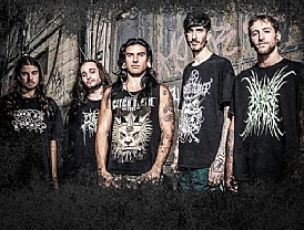 Apparent To Rot